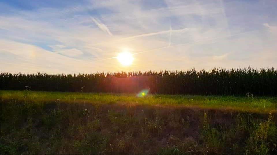 Vakantiewoning Henisdael Heers Zewnętrze zdjęcie