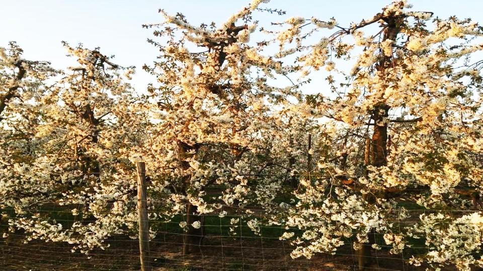 Vakantiewoning Henisdael Heers Zewnętrze zdjęcie