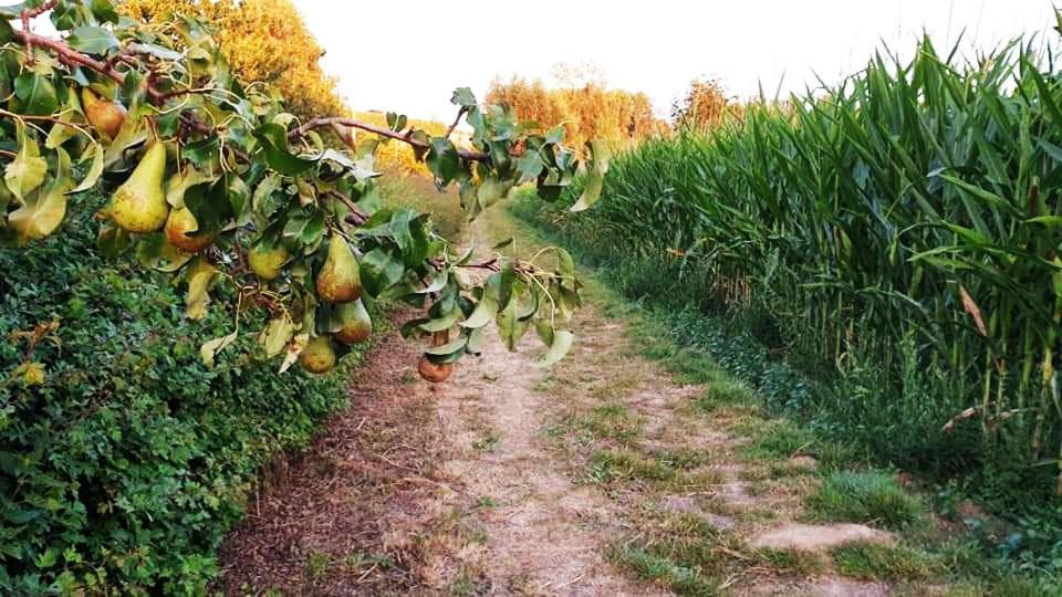 Vakantiewoning Henisdael Heers Zewnętrze zdjęcie