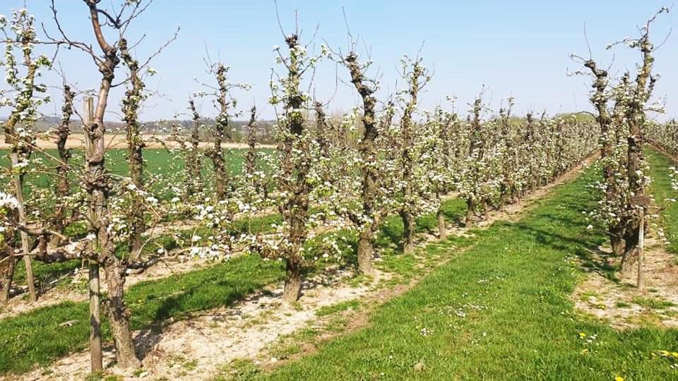 Vakantiewoning Henisdael Heers Zewnętrze zdjęcie