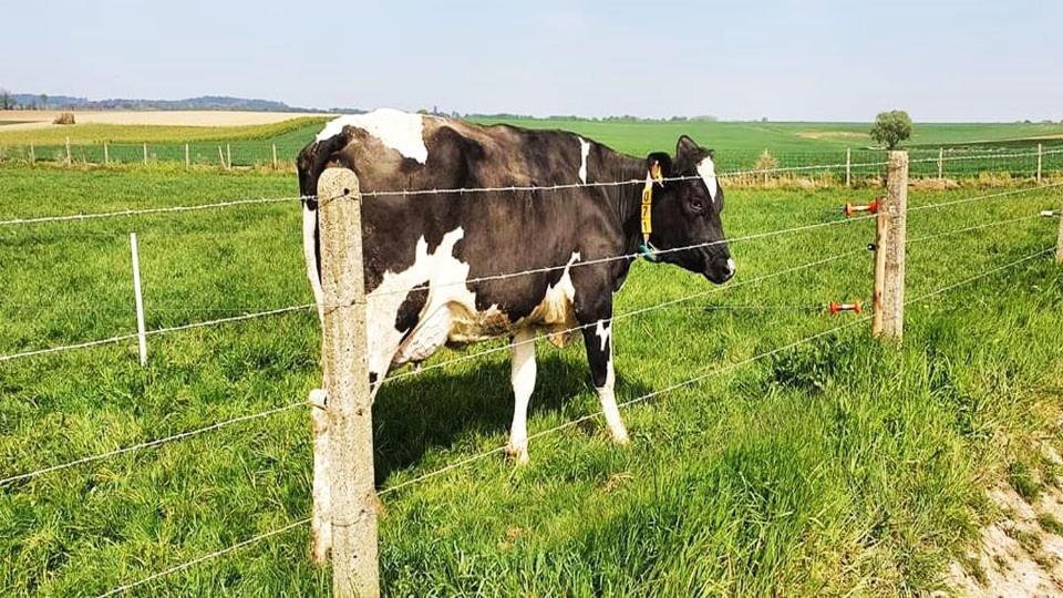 Vakantiewoning Henisdael Heers Zewnętrze zdjęcie