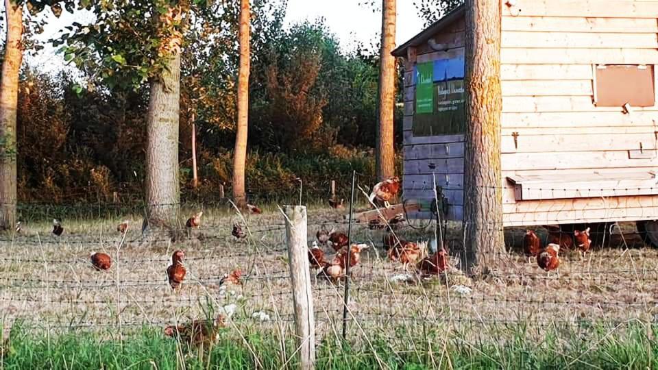 Vakantiewoning Henisdael Heers Zewnętrze zdjęcie