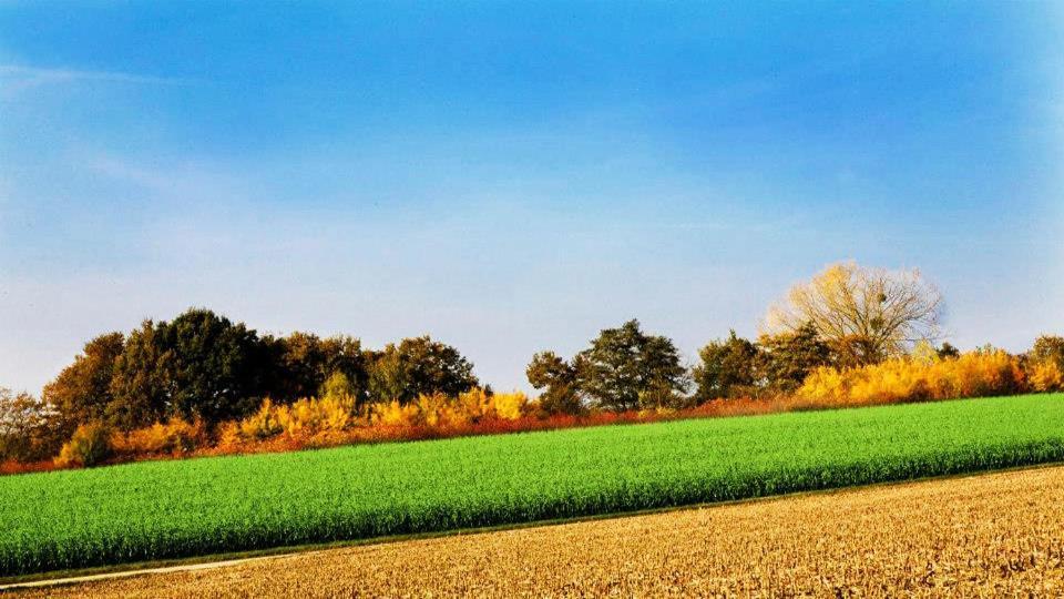 Vakantiewoning Henisdael Heers Zewnętrze zdjęcie
